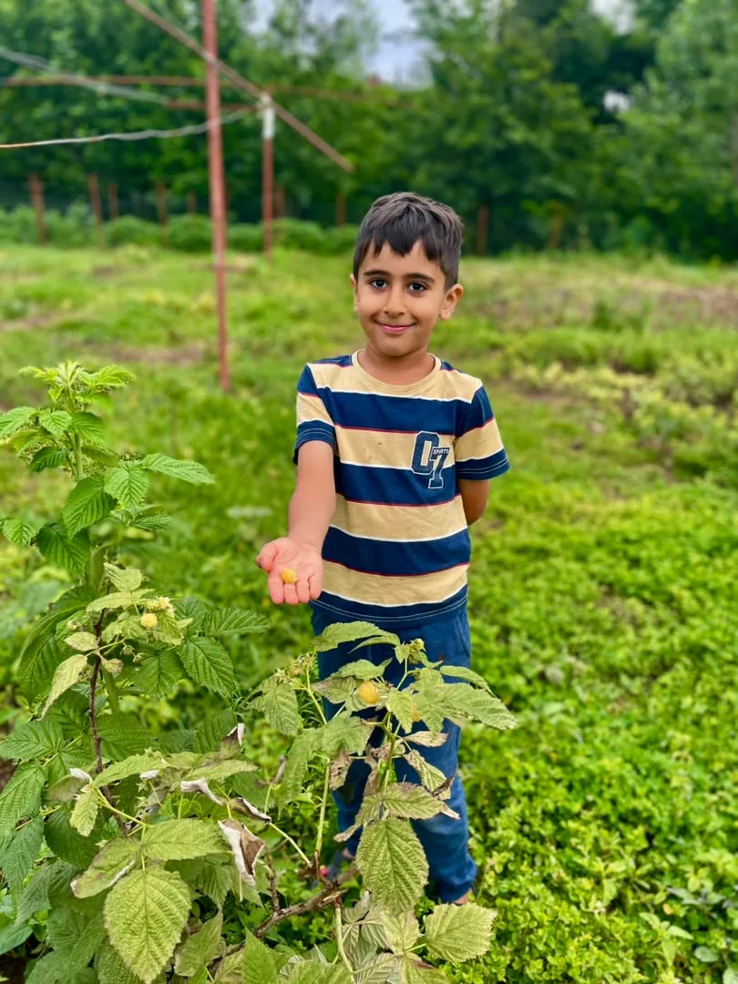 تجربه طبیعت برای کودکان در مزرعه